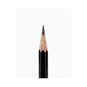 Untitled design   2025 02 26T204822.263